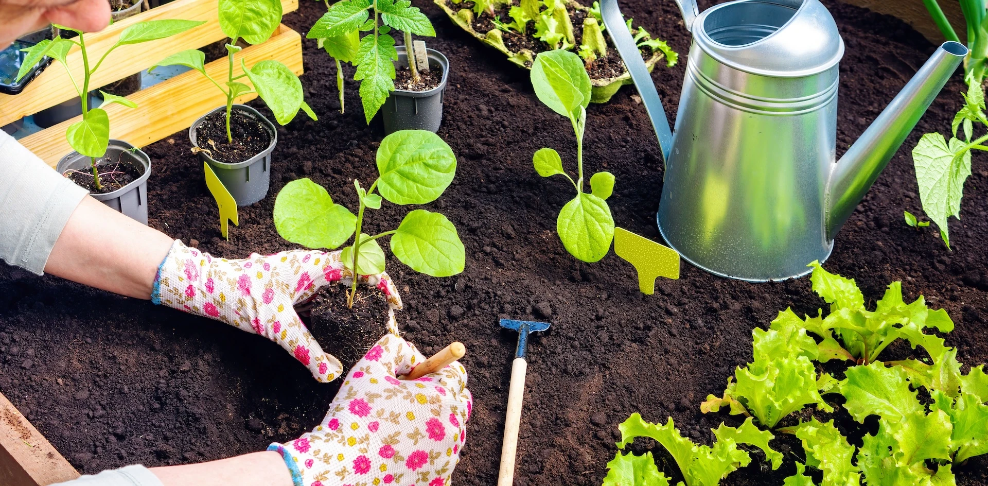 Een mooie moestuin: tips, ideeën en inspiratie