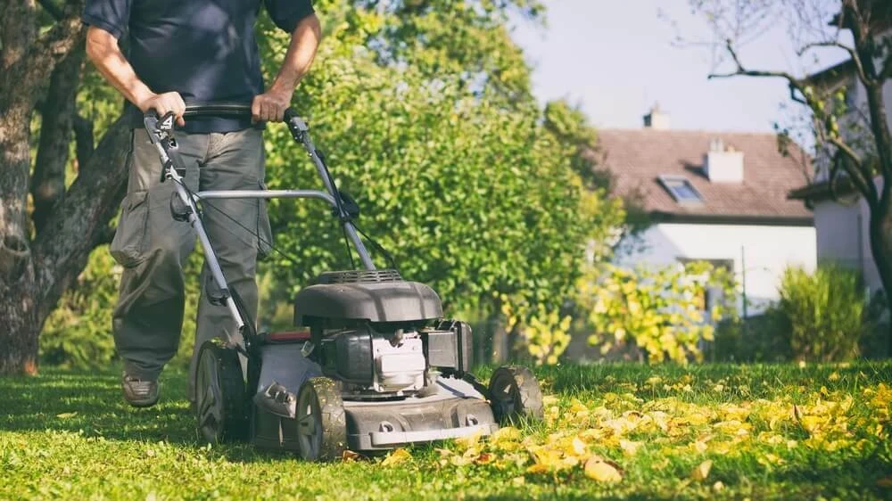 Een man maait het gras met een grasmaaier | Un homme coupe l'herbe avec une tondeuse à gazon