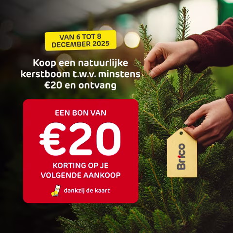 Kerst actie