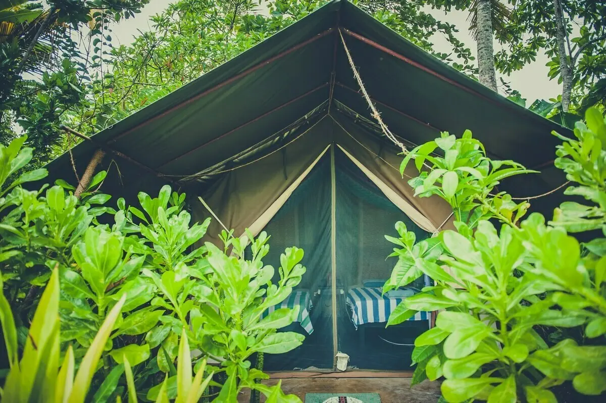 Een tent met twee bedden in de natuur | A tent with two beds in nature 