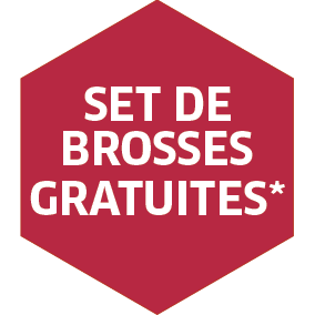 Set de brosses gratuites