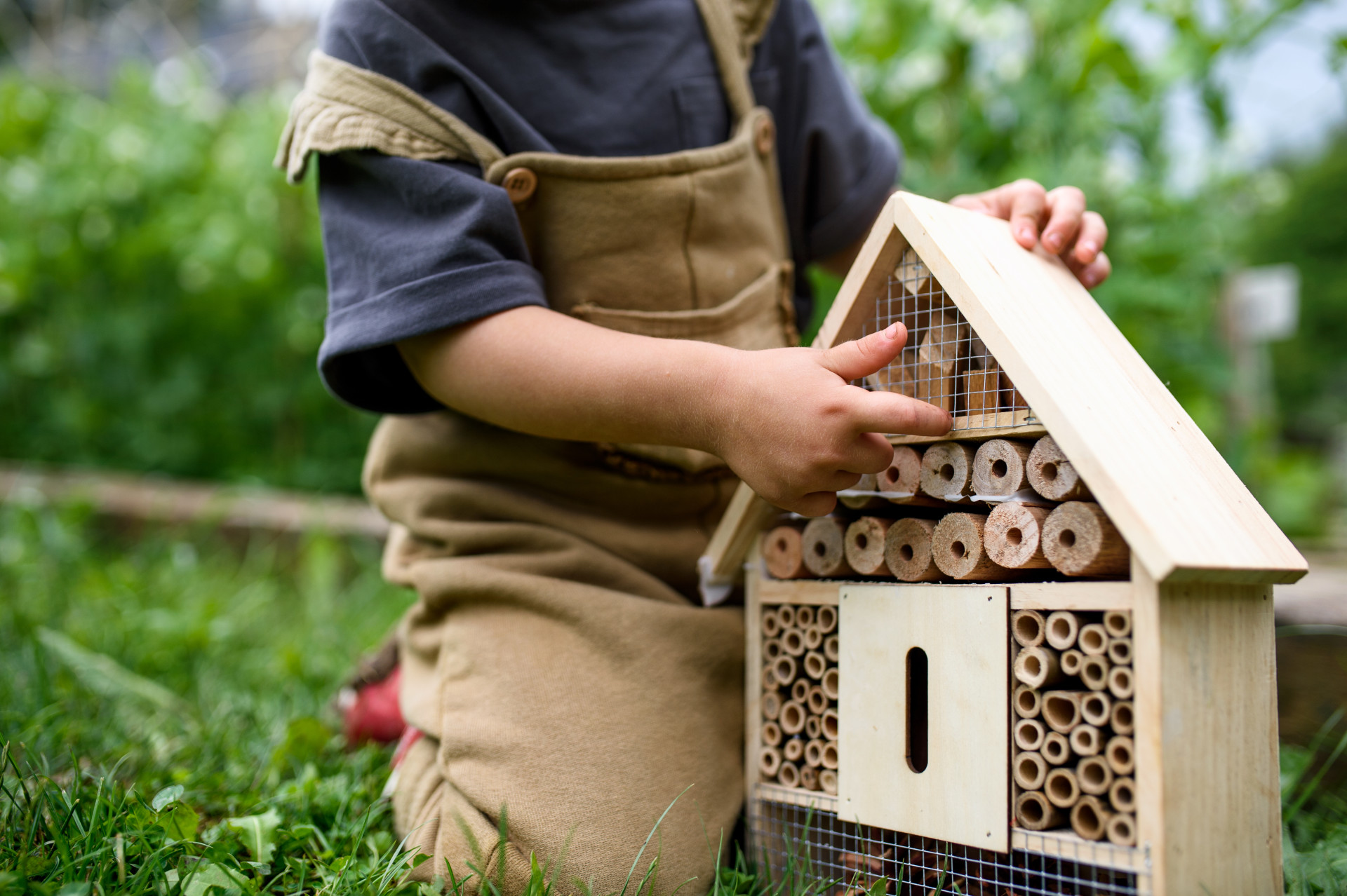 Maak een duurzame tuin in 9 stappen