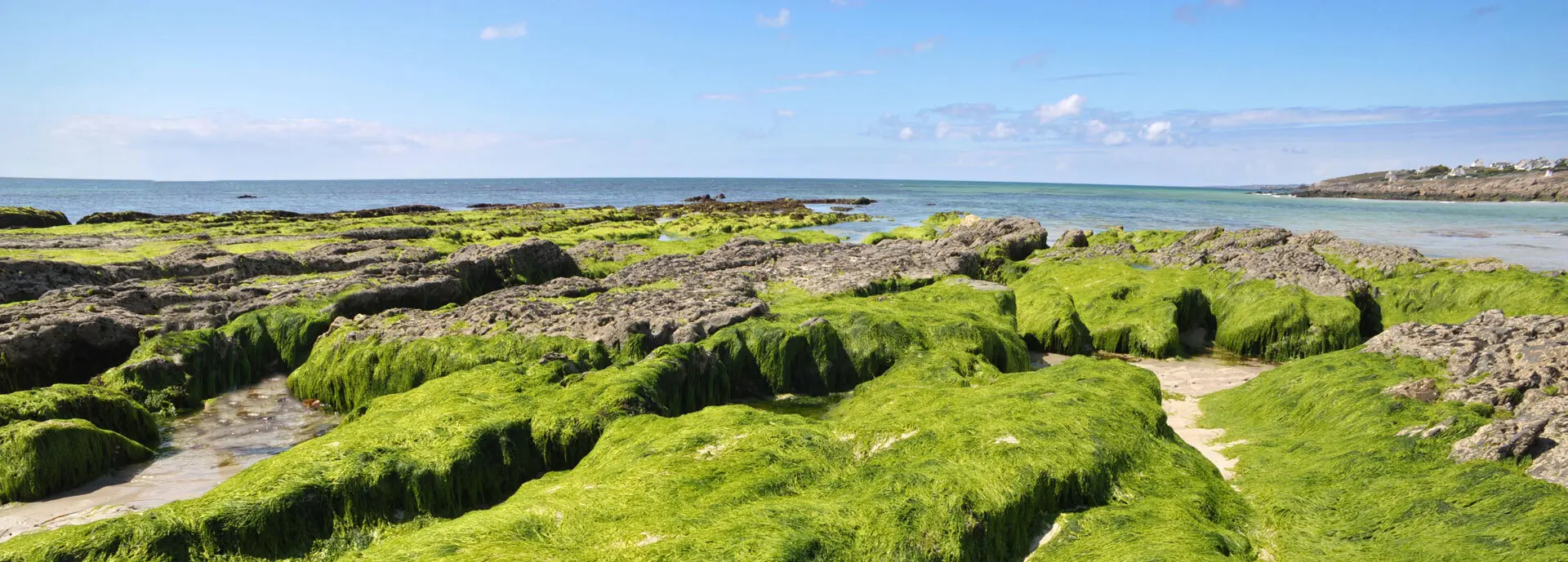 Een natuurlijk landschap met rotsen en de zee | Un paysage naturel avec des rochers et la mer 