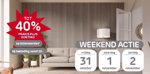 Hoge korting op lattenwanden met Praxis Plus Hoge korting op lattenwanden met Praxis Plus
