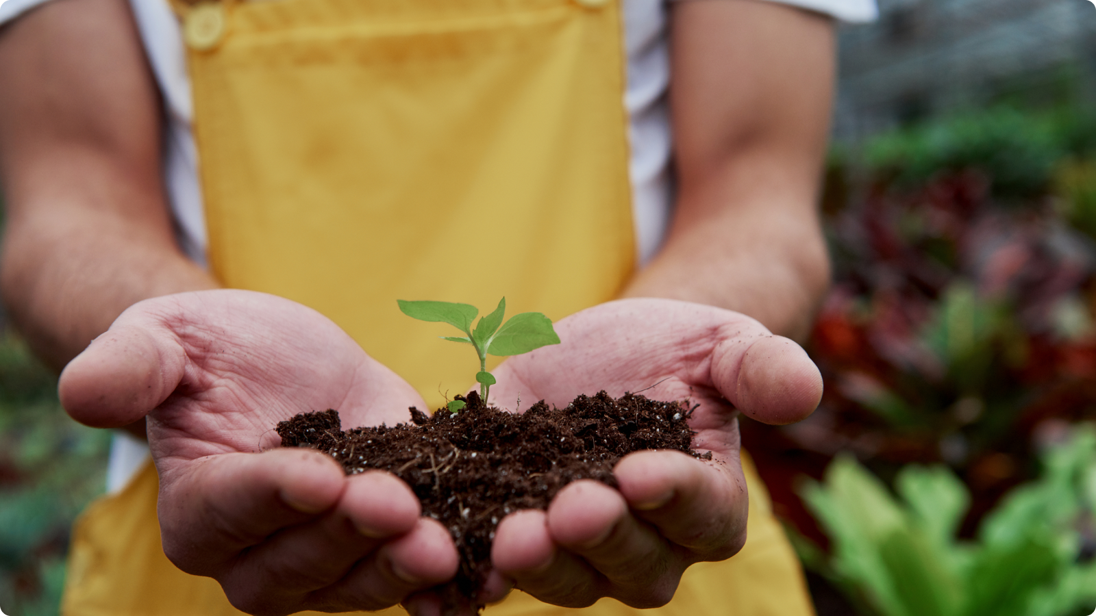 Alles over een duurzame tuin