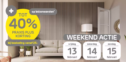 Hoge korting op lattenwanden met Praxis Plus