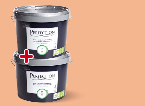 Remise sur la peinture murale et plafond Perfection 10 L