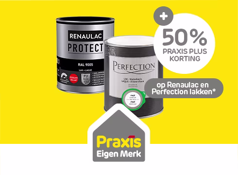 Hoge korting op Renaulac en Perfection lakken 