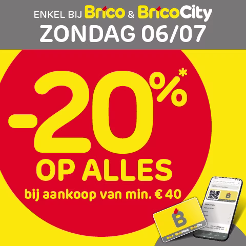 Promo Brico