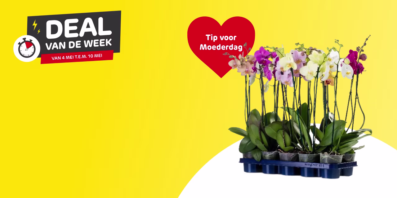 Deal van de week