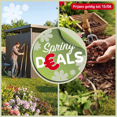 Onze Spring Deals
