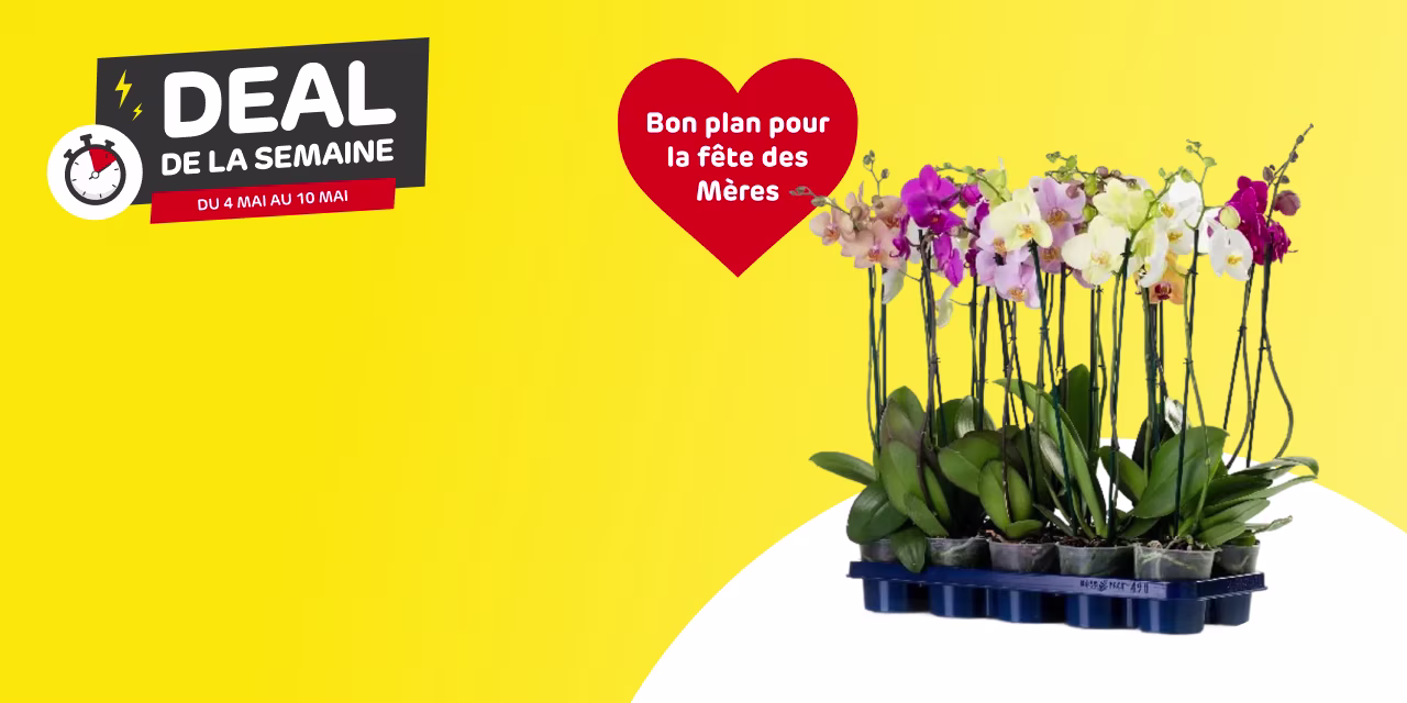 Deal de la semaine