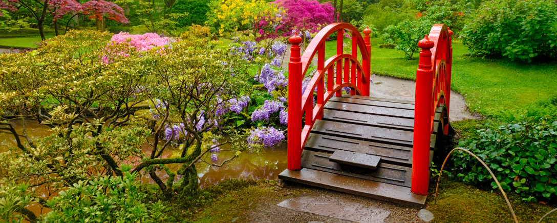 Japanse tuin | Jardin japonais