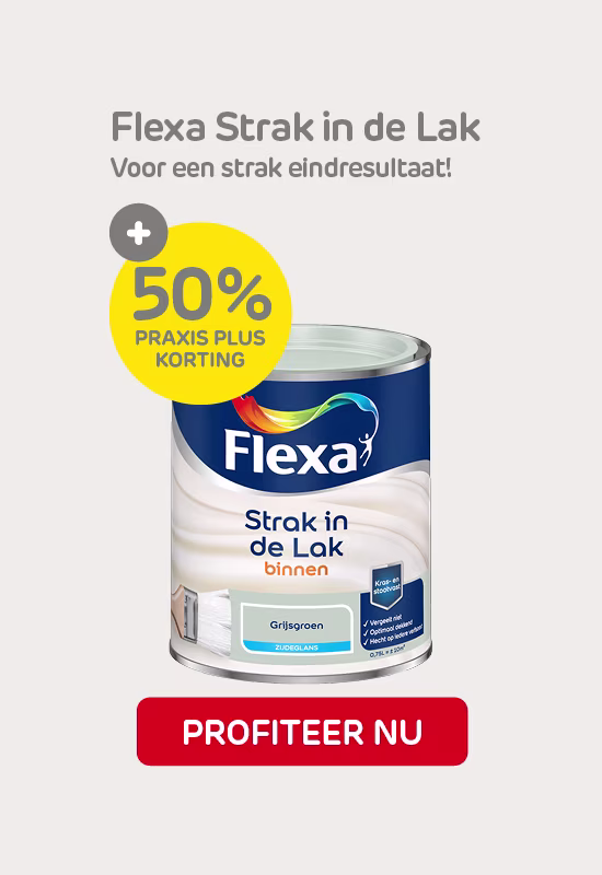 Flexa Strak in de Lak aanbieding | Praxis Bouwmarkt