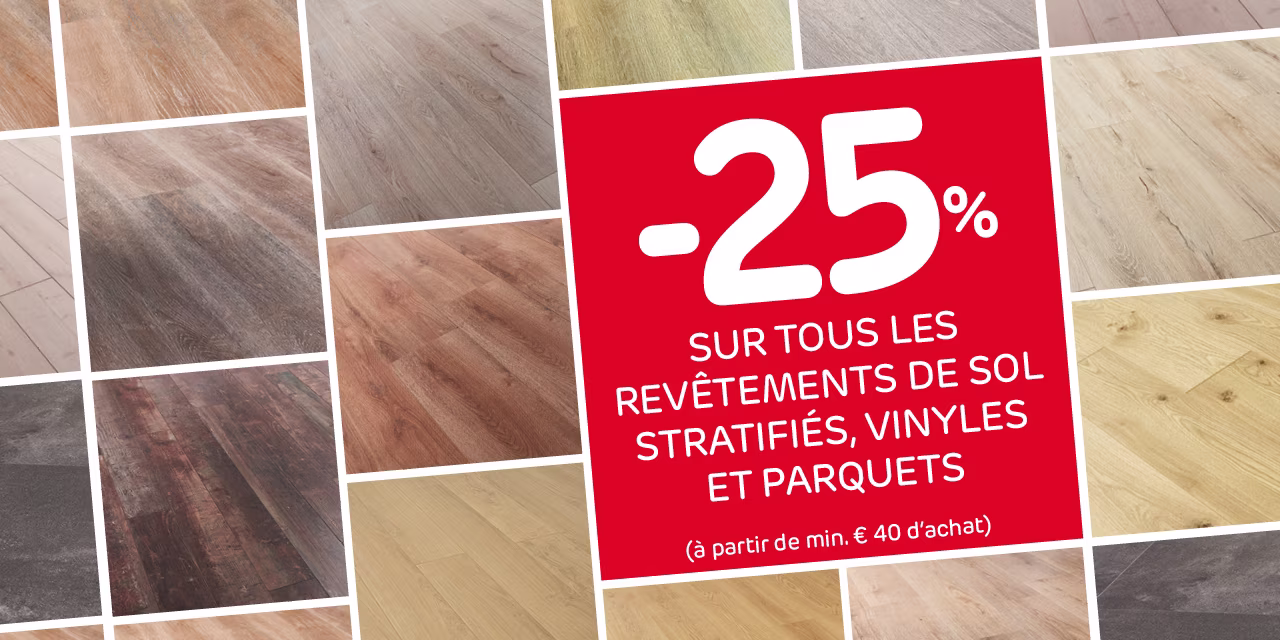 Brico promo