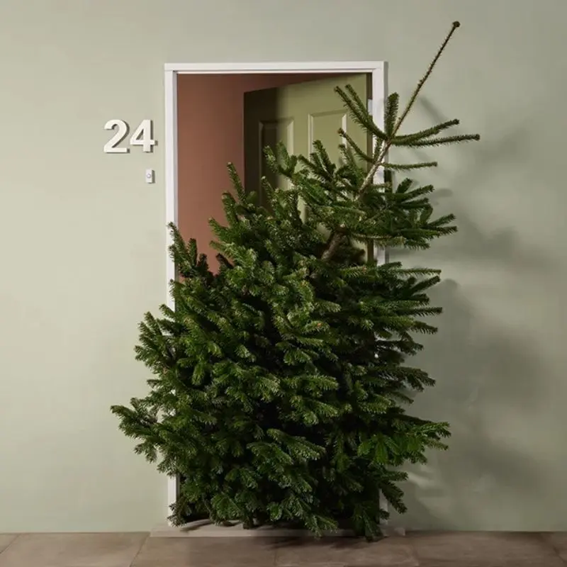 een kerstboom in de ingang van een huis| un arbre de noël dans l'entrée d'une maison