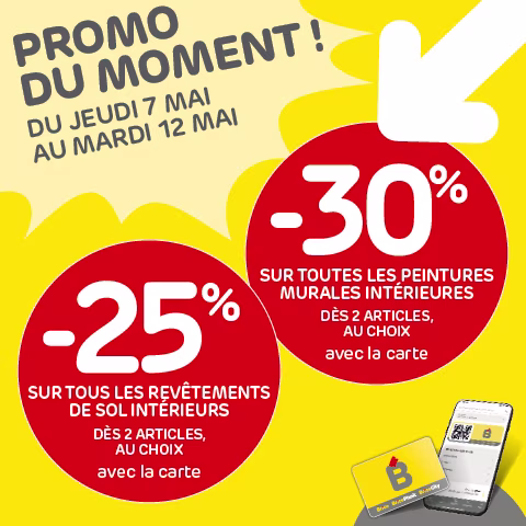 Promo Brico
