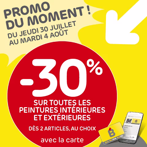 Promo Brico