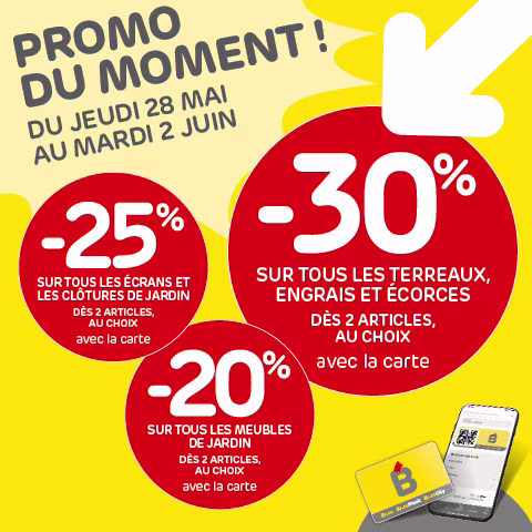 Promo Brico