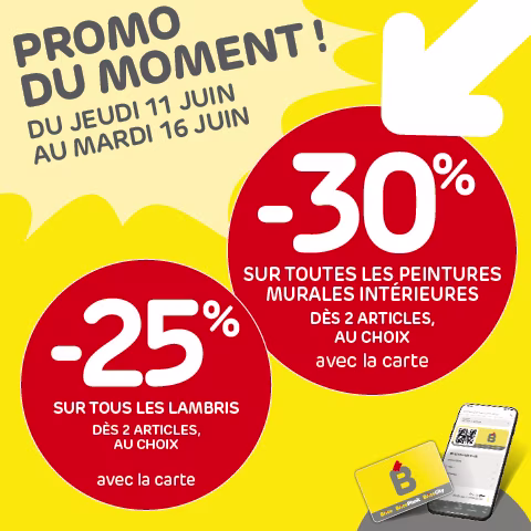 Promo Brico