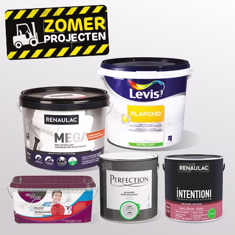 Brico promo verf