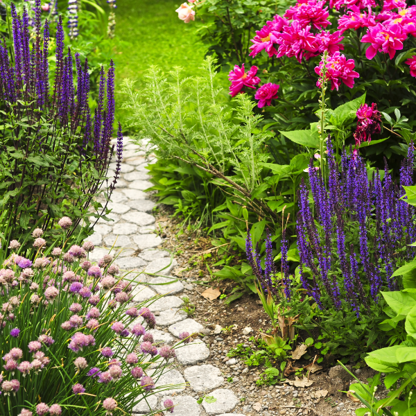 Een tuinpad uit tegels loopt door een bloeiende tuin met fleurige bloemen | Un chemin de jardin en carreaux traverse un jardin fleuri aux fleurs éclatantes