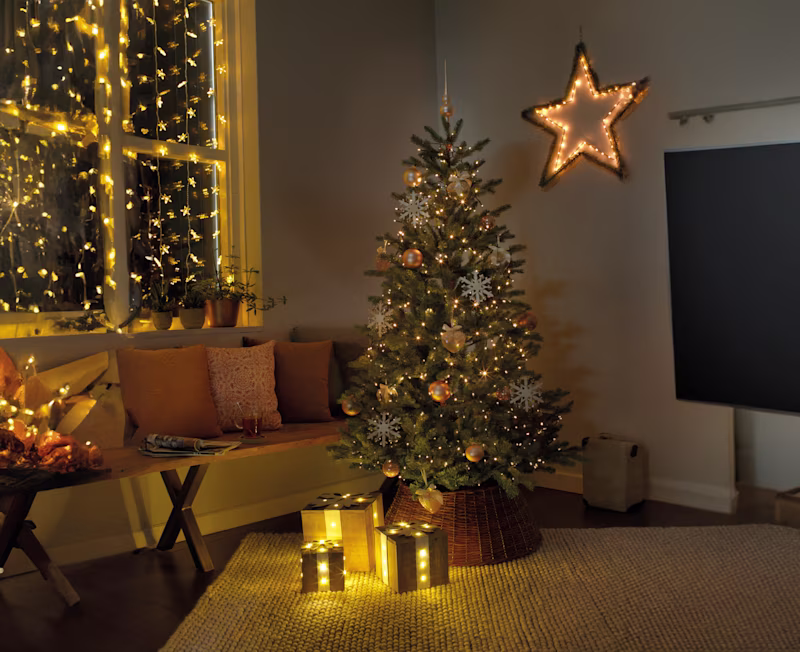 Kerstboom kopen: zo kies je de perfecte kerstboom