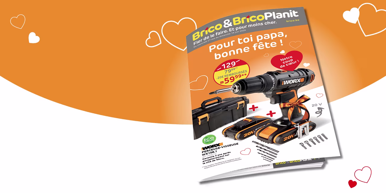 Promo Brico perceuse-visseuse Worx