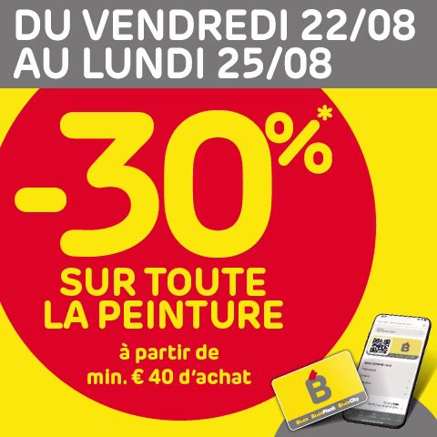promo peinture