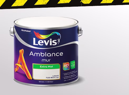 Remise sur toutes les peintures Levis Ambiance