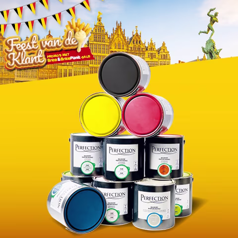 Brico promo Perfection paint