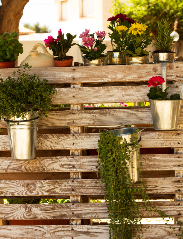 Bloemenpotten met verschillende bloemen in vasthangend aan een houten pallet | Pots de fleurs avec différentes fleurs suspendus à une palette en bois