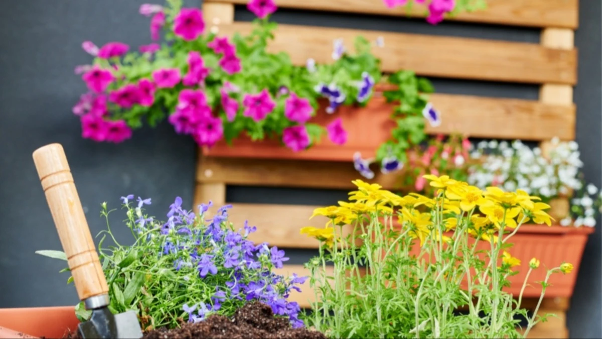 Bloemenpotten met verschillende bloemen in vasthangend aan een houten pallet | Pots de fleurs avec différentes fleurs suspendus à une palette en bois