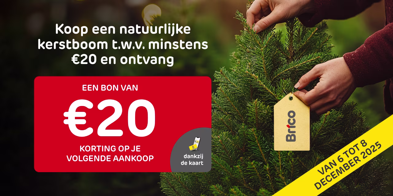 Kerst actie