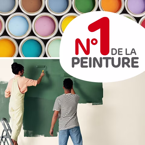 Numéro 1 de la peinture