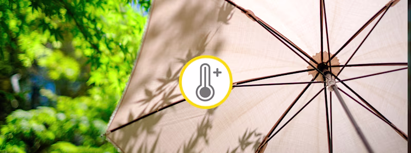 Alles voor én tegen de hitte