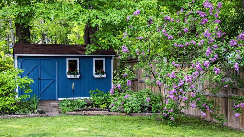 Entretenir son abri de jardin
