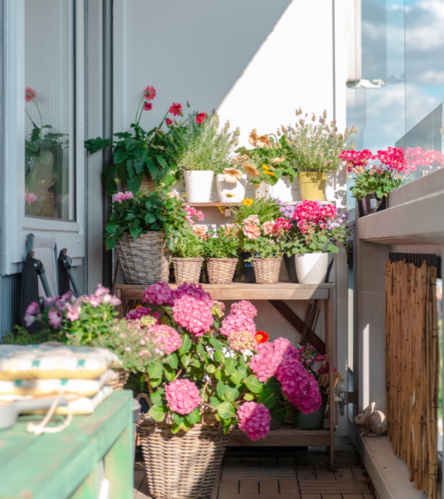 Verschillende bloemen op een klein balkon | Différentes fleurs sur un petit balcon