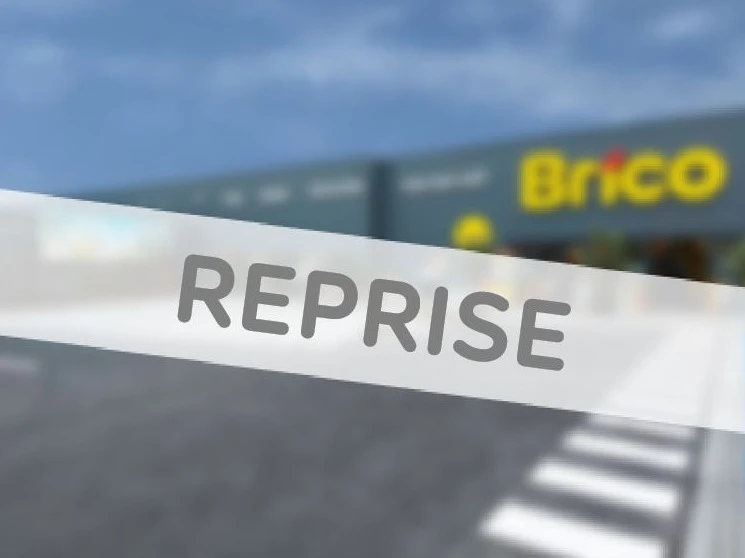 Reprise Brico