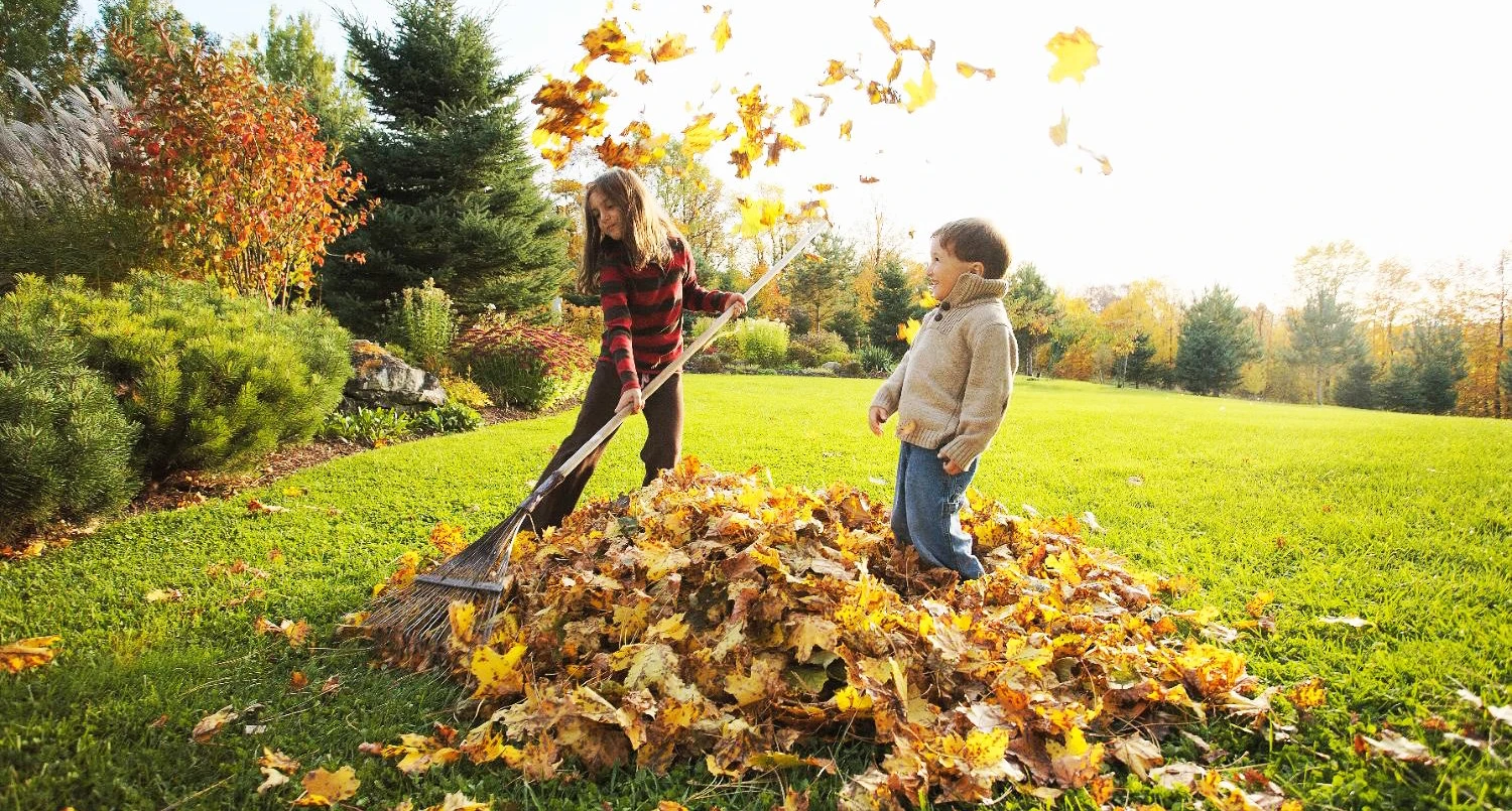 Préparez votre jardin pour l'hiver grâce à ces 7 conseils