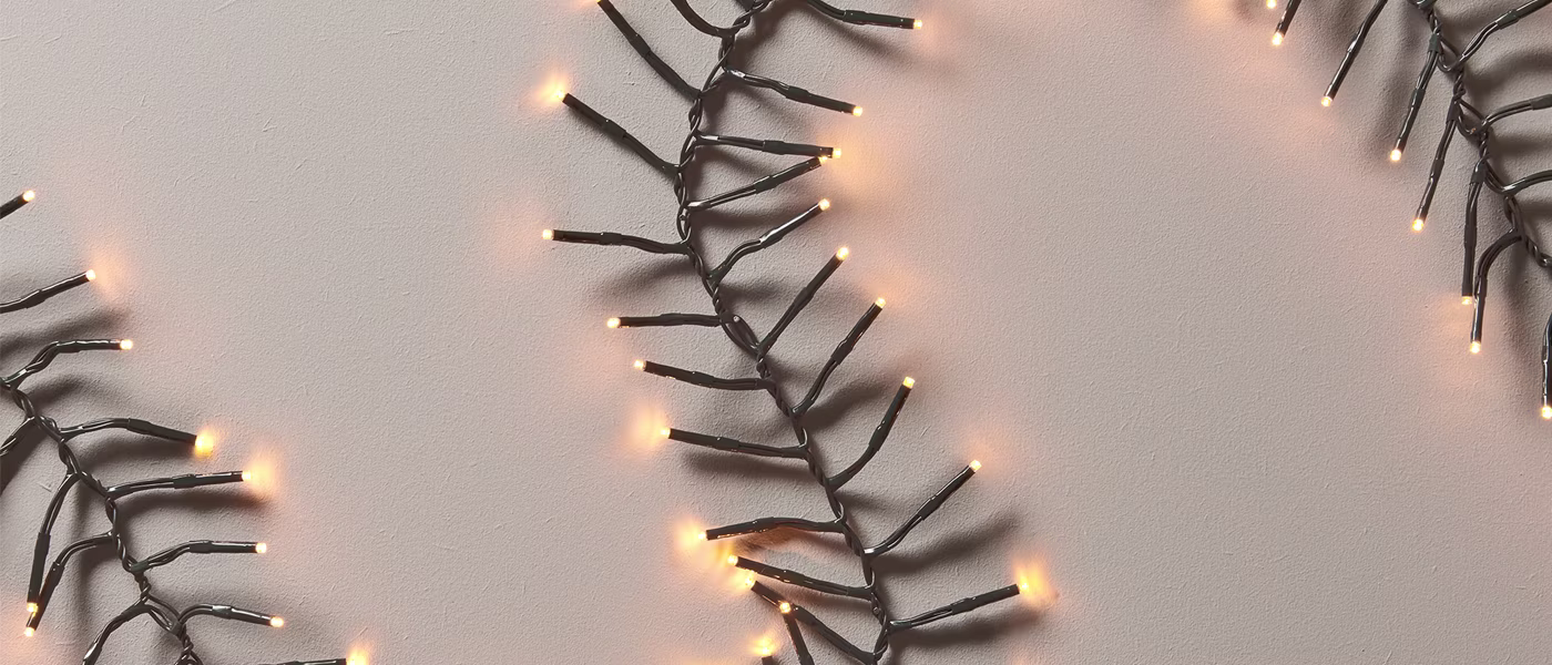 Kerstlampjes voor de kerstboom | Praxis