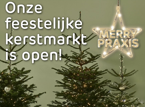 Bezoek een kerstmarkt in een van de Praxis winkels