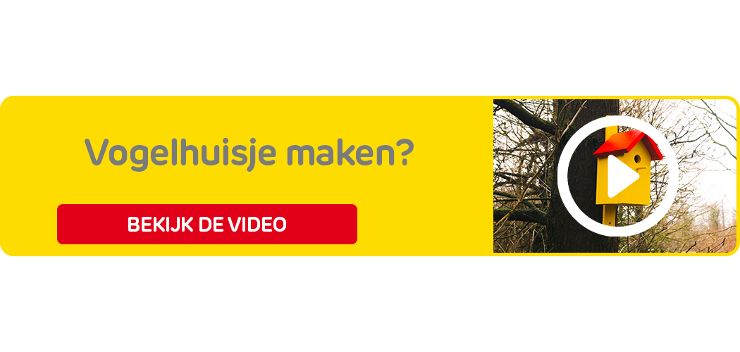 Vogelhuisje maken