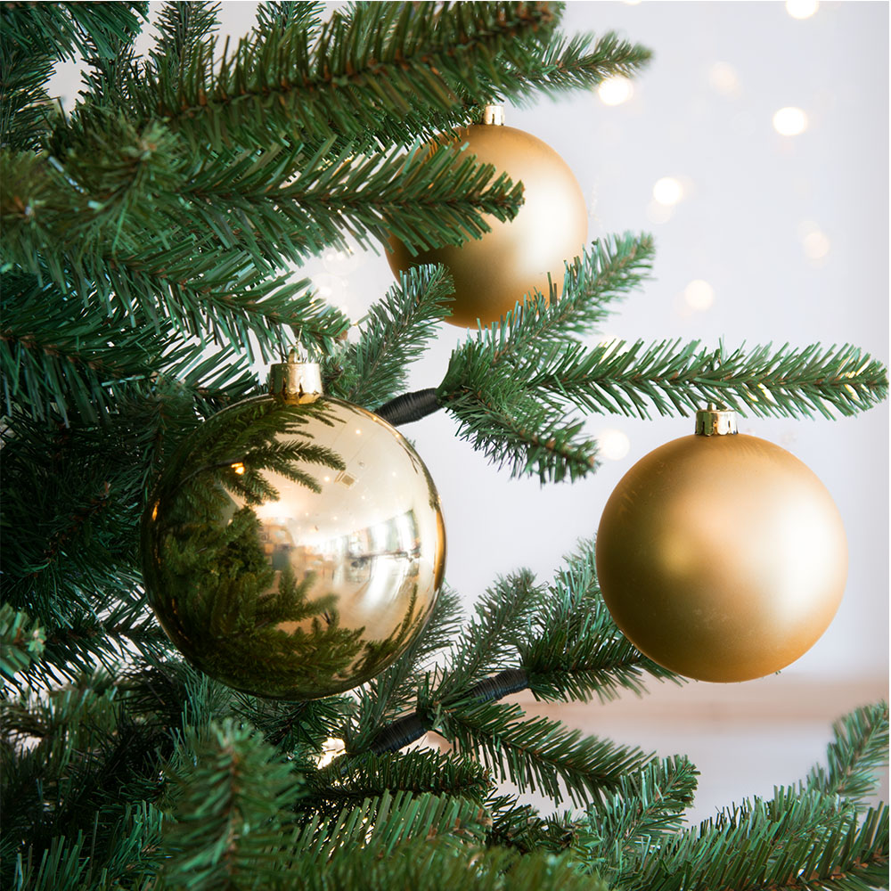 Kruiden fonds Heel Kerstboom kopen? Zo kies je de juiste kerstboom! | Praxis