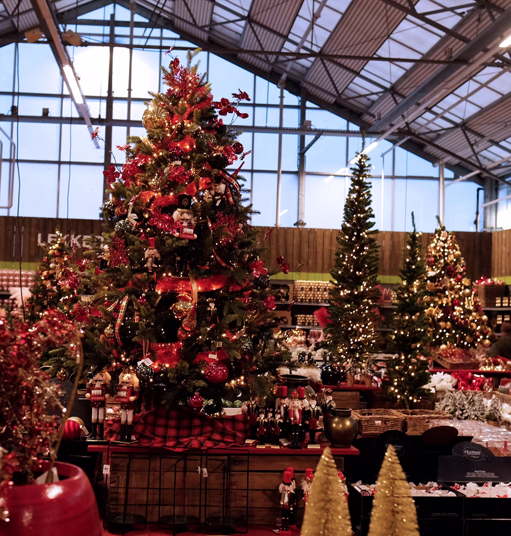 Kerstdecoratie kopen in Praxis winkel