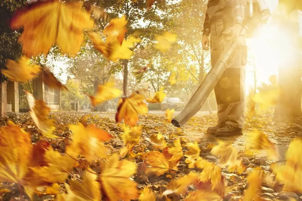 Een man blaast de bladeren in zijn tuin weg met een bladblazer op een zonnige herfstdag | Un homme souffle les feuilles dans son jardin avec un souffleur de feuilles par une journée d'automne ensoleillée