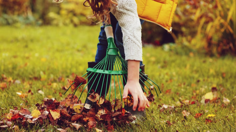 Préparer le jardin pour l'hiver Préparer le jardin pour l'hiver