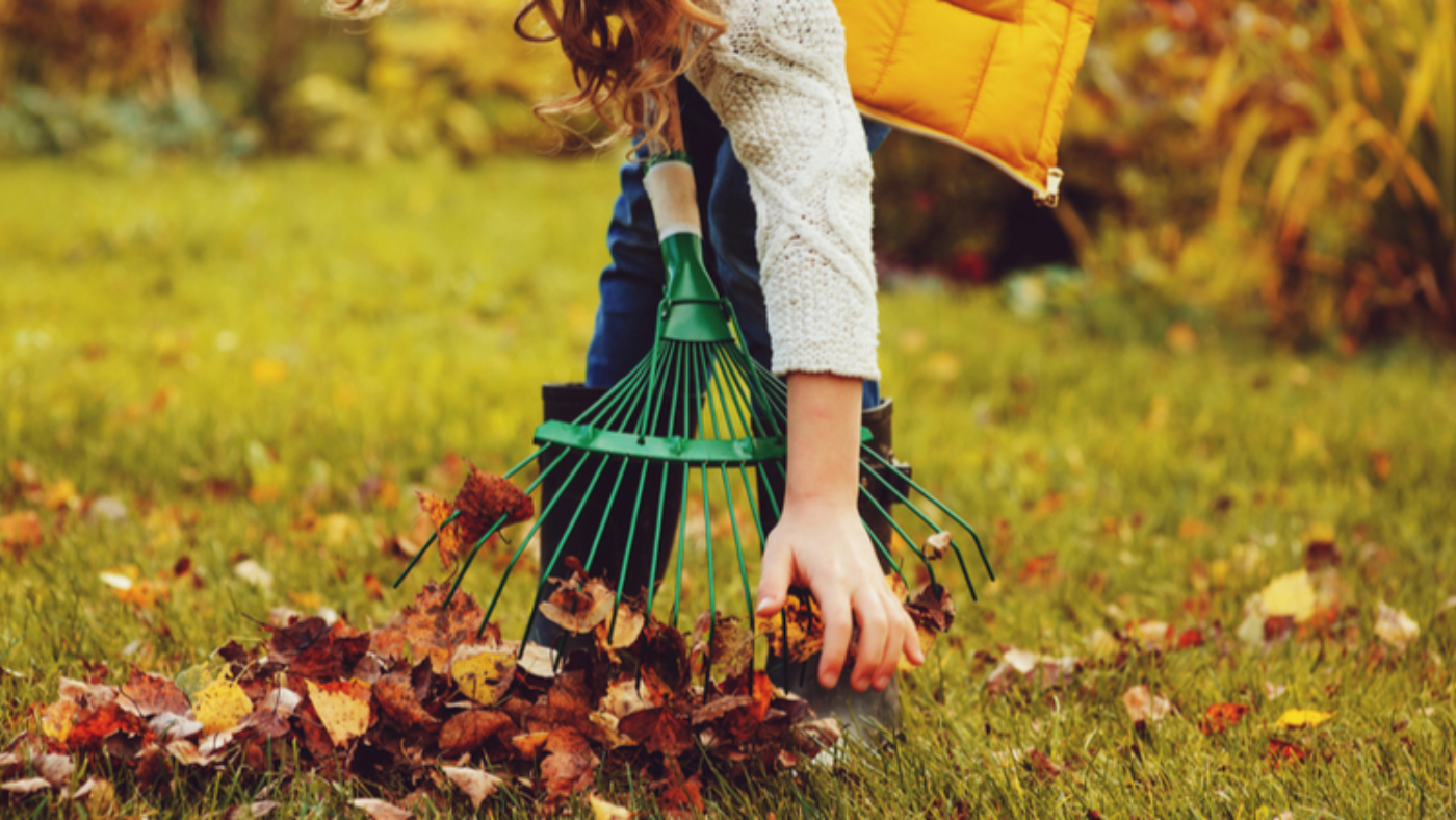 Tuin winterklaar maken in 9 stappen