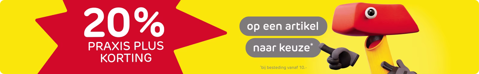 Korting op een artikel naar keuze tijdens de hamerweken bij Praxis