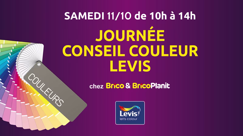 Levis conseils peintures